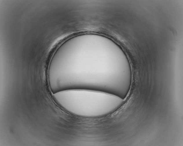 X0000111431214200907131033