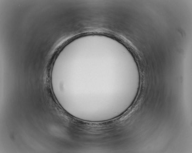 X0000111431215200907131033