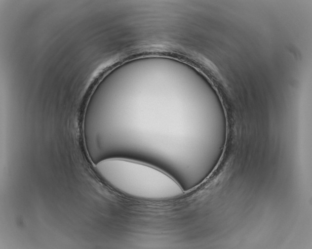 X0000111431218200907131033