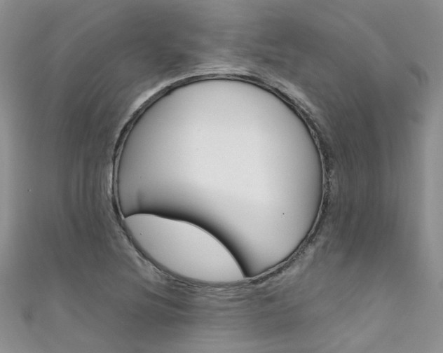 X0000111431220200907131033