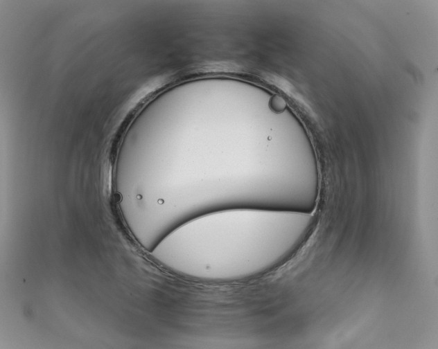 X0000111431221200907131033