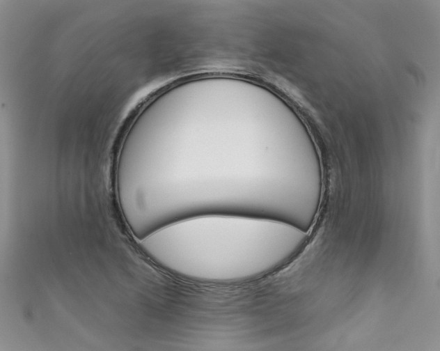X0000111431222200907131033