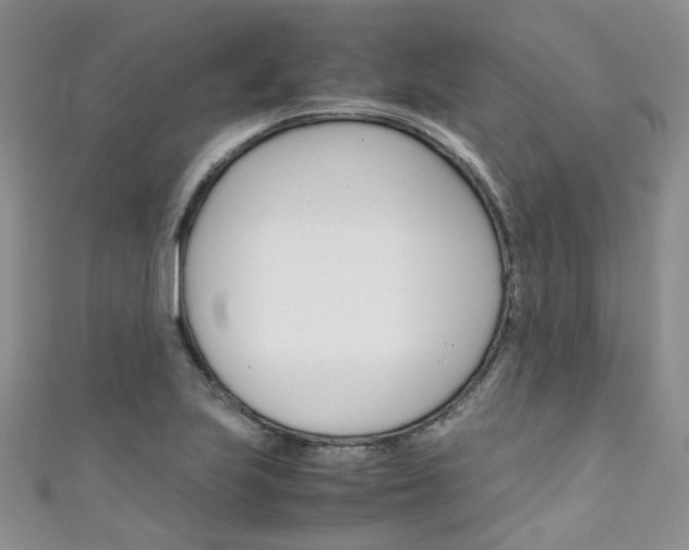 X0000111431223200907131033