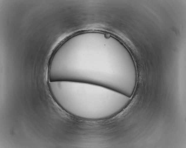 X0000111431224200907131034