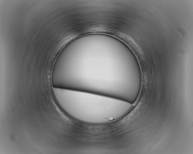 X0000111431225200907131034