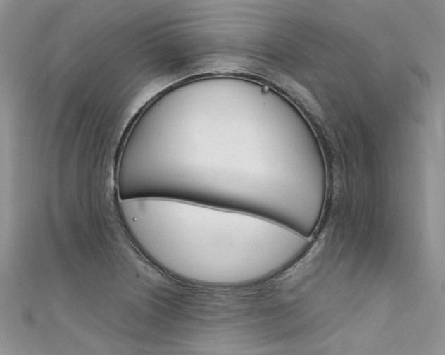 X0000111431226200907131034