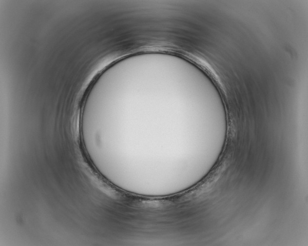 X0000111431227200907131034