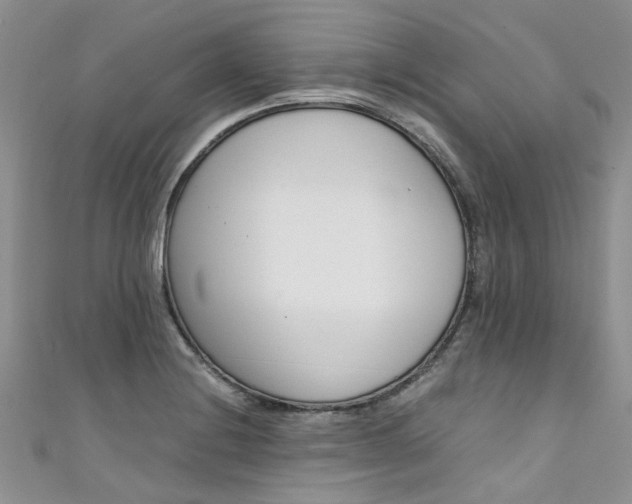 X0000111431228200907131034