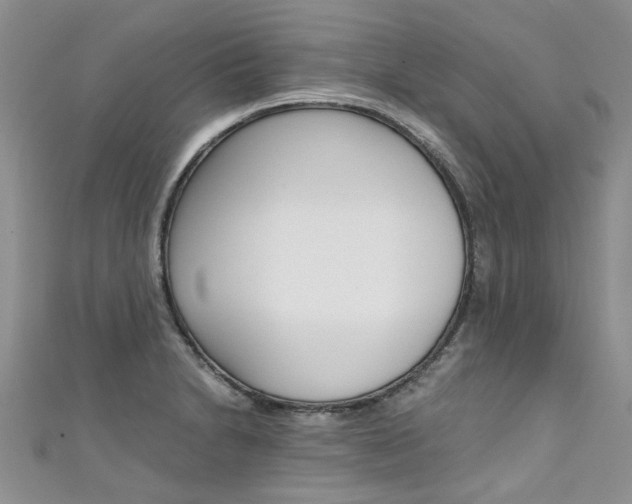 X0000111431230200907131034