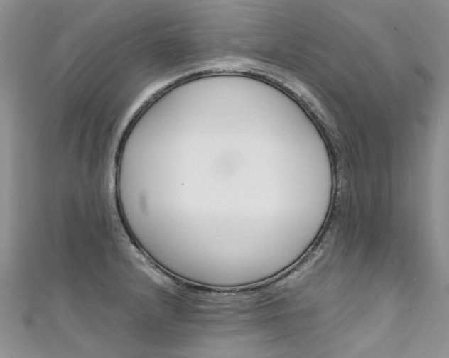 X0000111431232200907131034