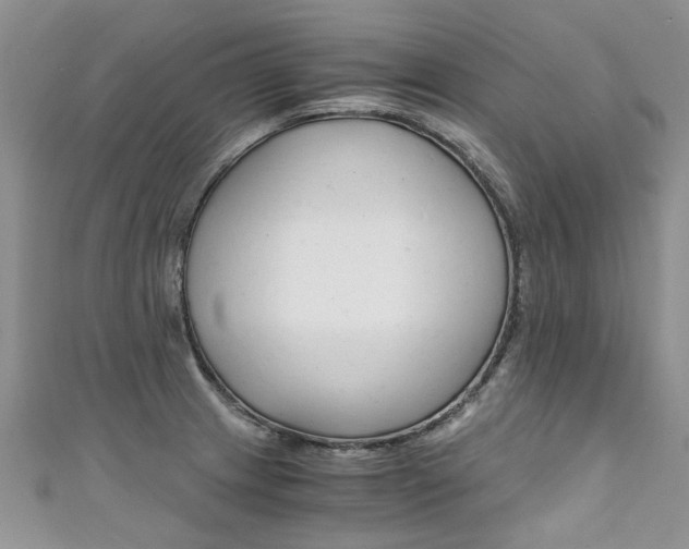 X0000111431233200907131034