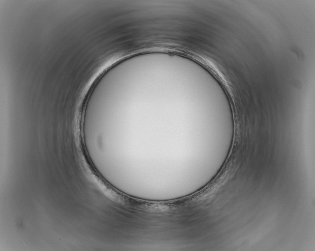 X0000111431235200907131034