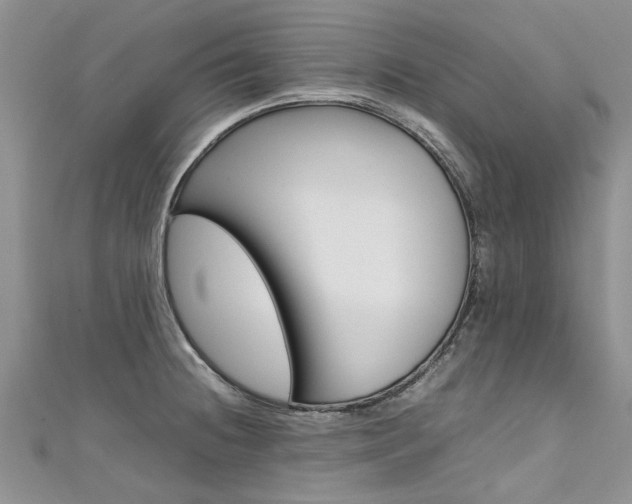 X0000111431236200907131034