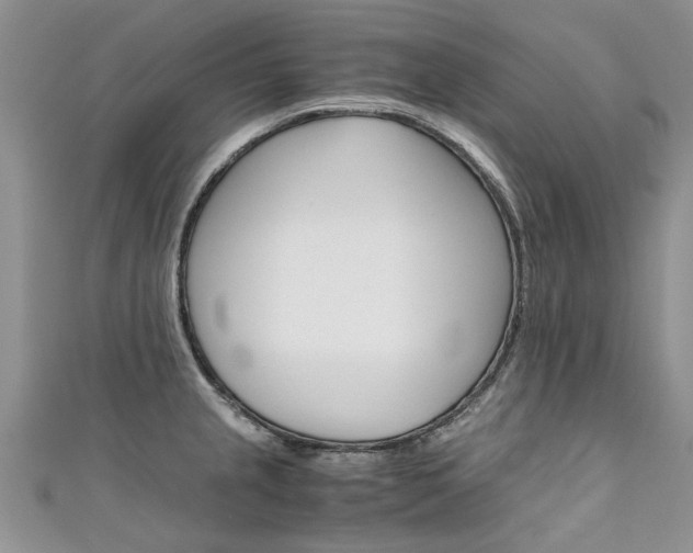 X0000111431237200907131034