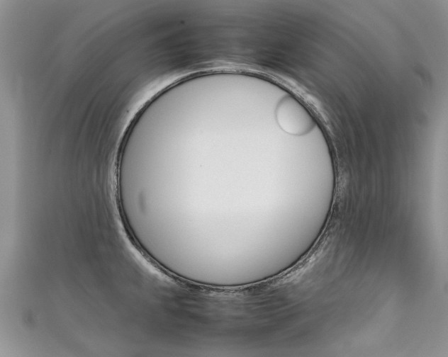 X0000111431239200907131034