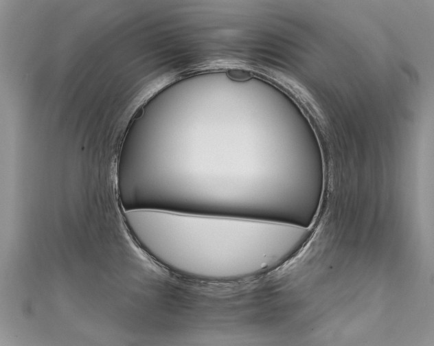 X0000111431241200907131034