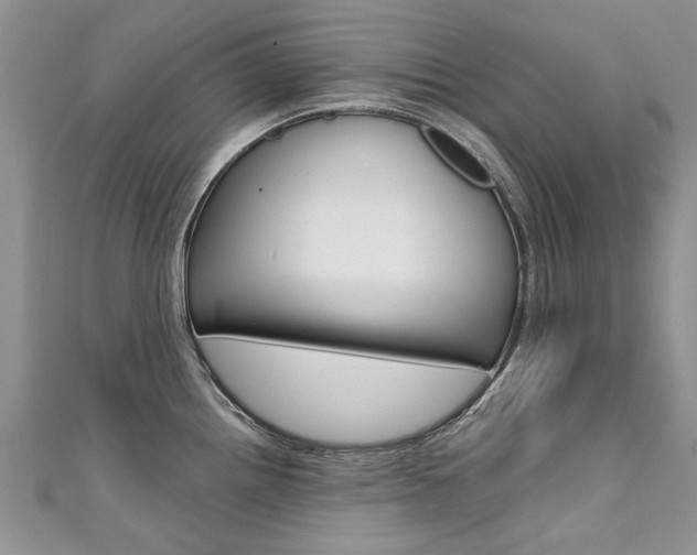 X0000111431242200907131034
