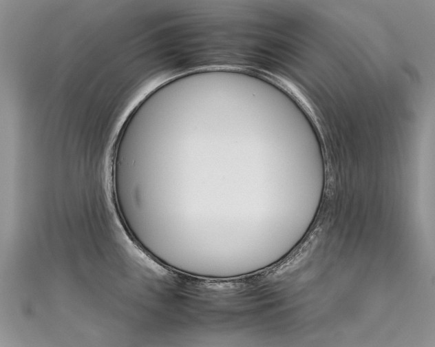 X0000111431243200907131034