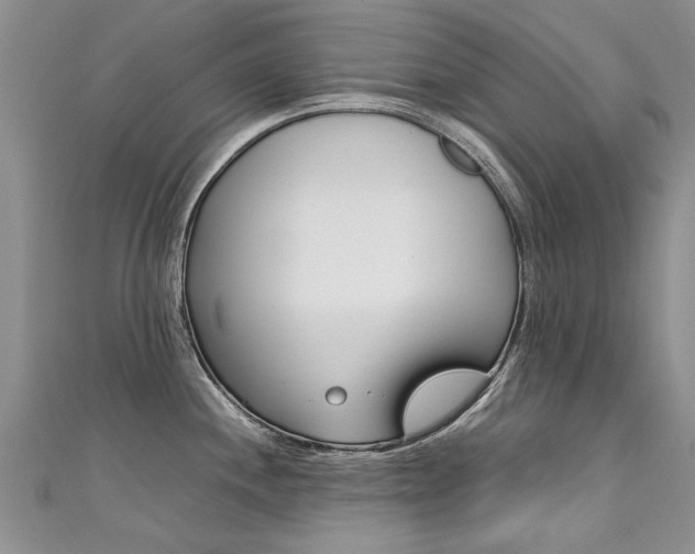 X0000111431244200907131034