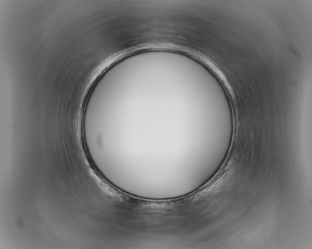 X0000111431245200907131034