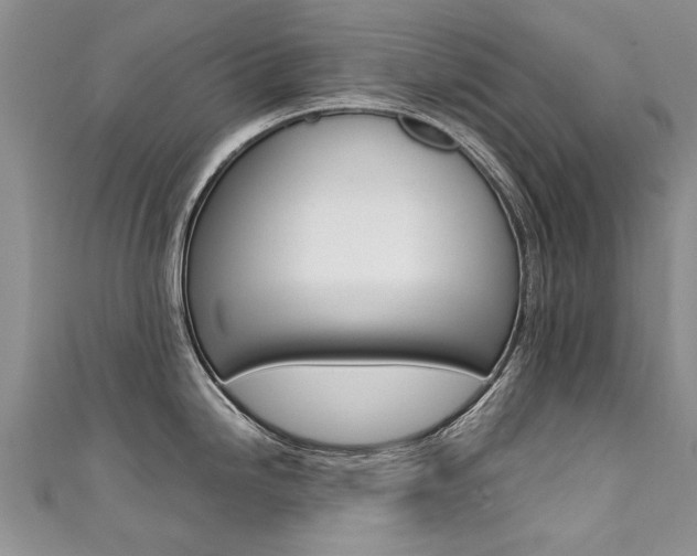 X0000111431246200907131034