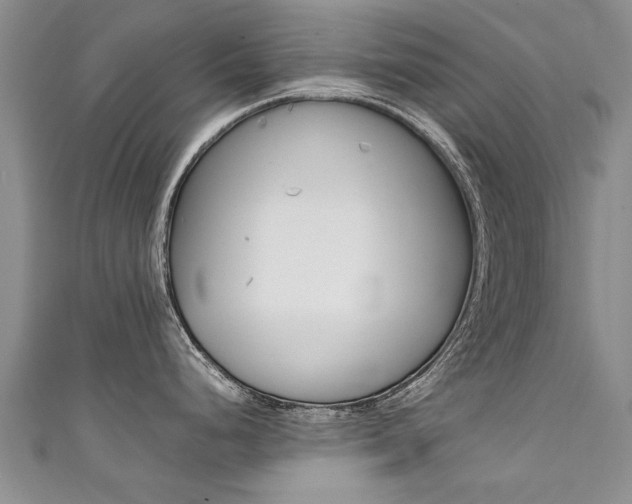X0000111431248200907131034