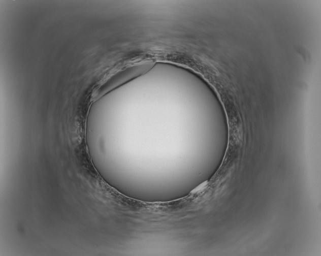 X0000111431253200907131033