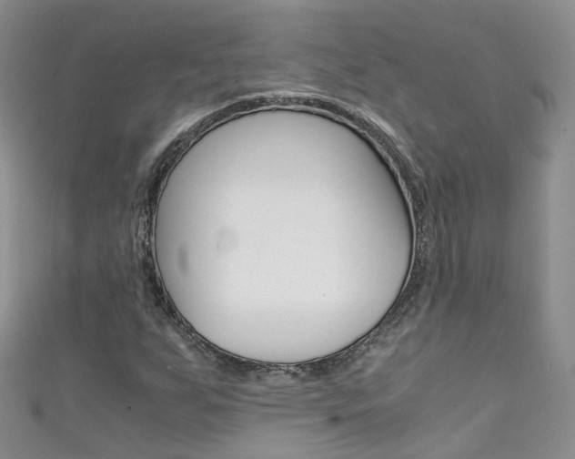 X0000111431255200907131033