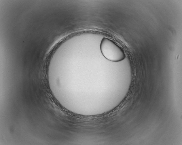 X0000111431256200907131033