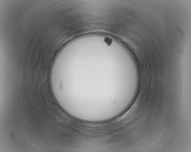 X0000111431257200907131033