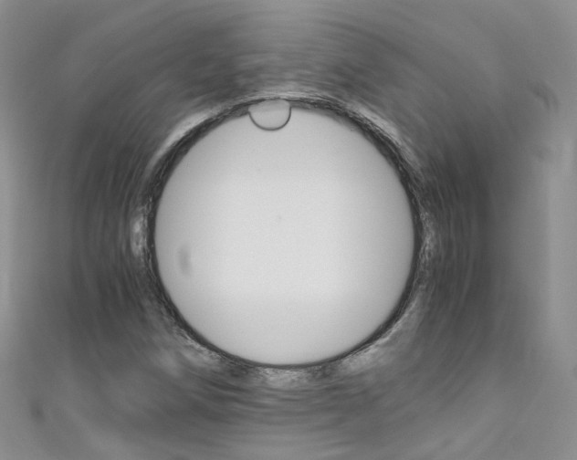 X0000111431258200907131033