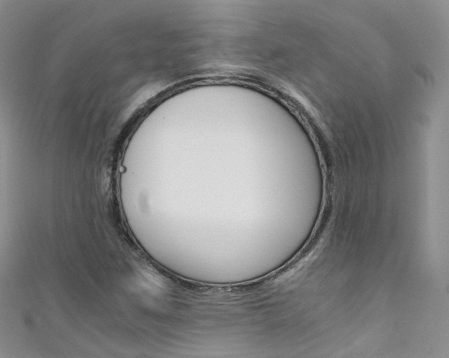 X0000111431259200907131033
