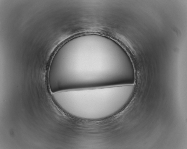 X0000111431260200907131033