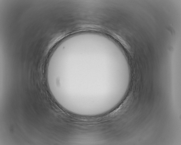X0000111431261200907131033