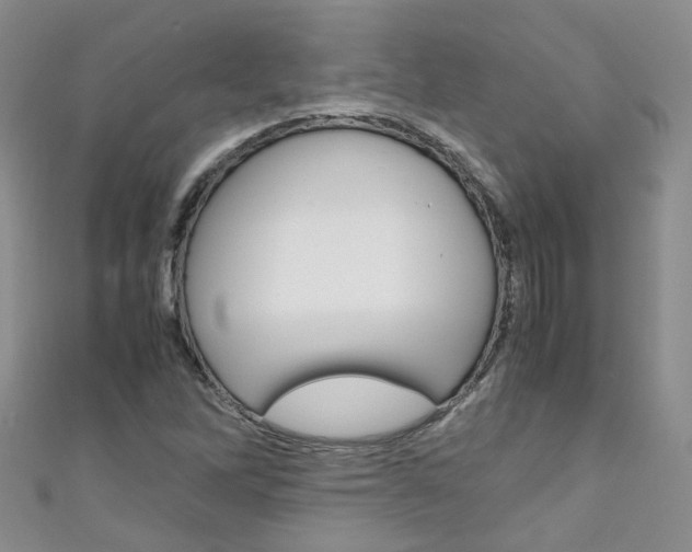 X0000111431262200907131033