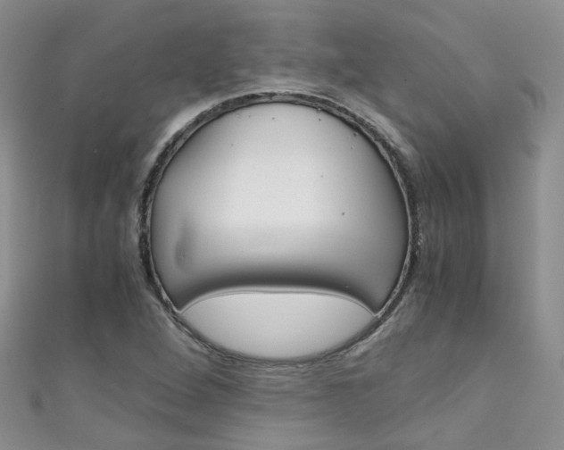X0000111431264200907131033