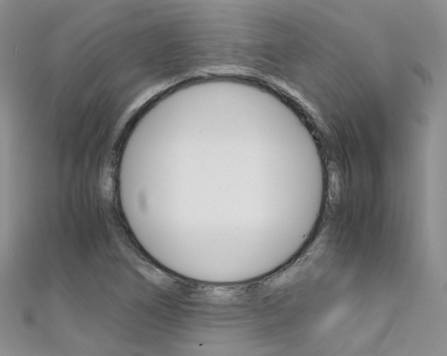 X0000111431266200907131033