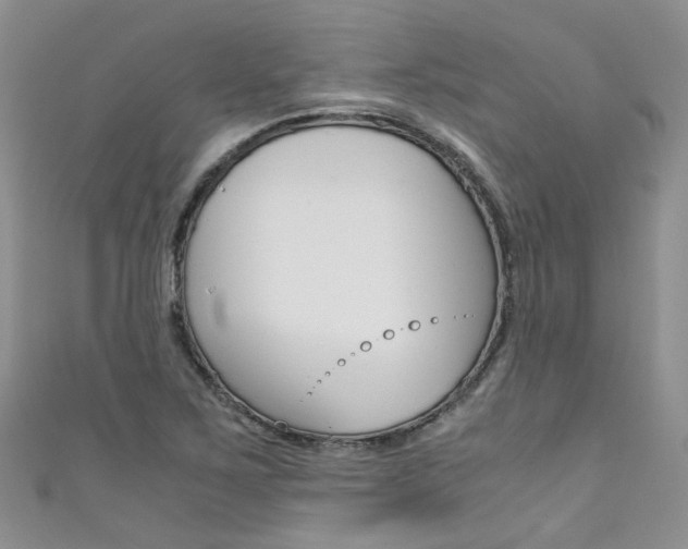 X0000111431267200907131033
