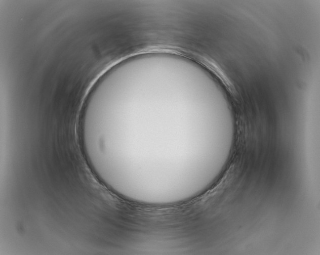 X0000111431268200907131033