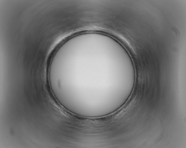 X0000111431270200907131033