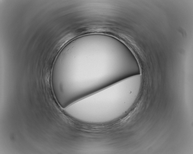 X0000111431273200907131033