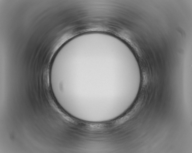 X0000111431274200907131033