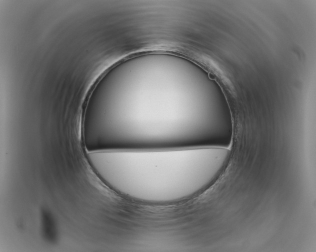 X0000111431276200907131033