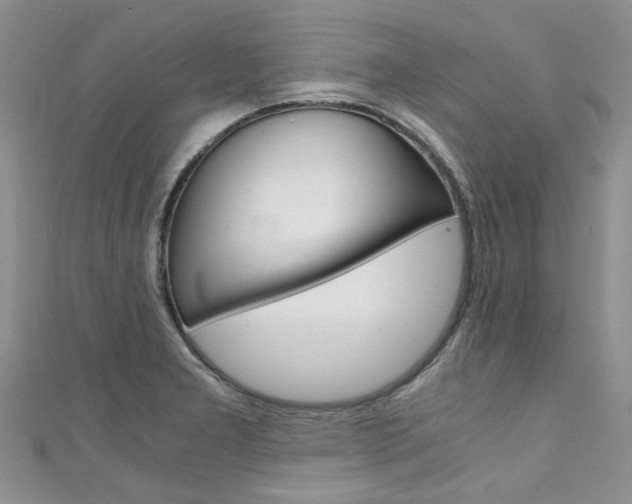 X0000111431277200907131033