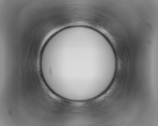 X0000111431278200907131033