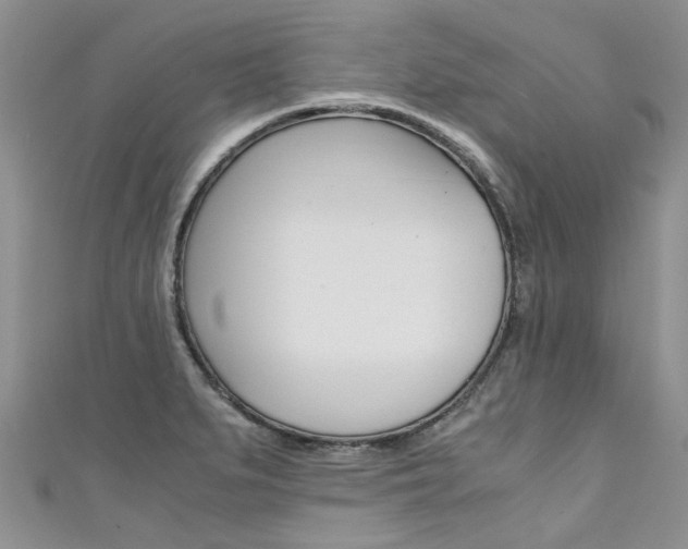X0000111431279200907131033