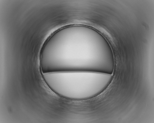 X0000111431280200907131033