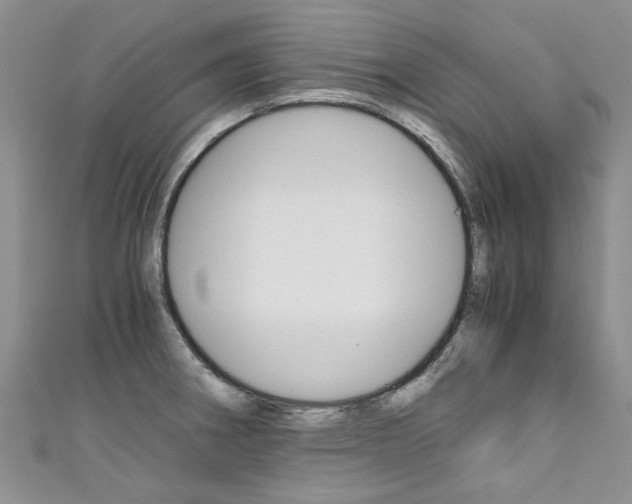 X0000111431282200907131033