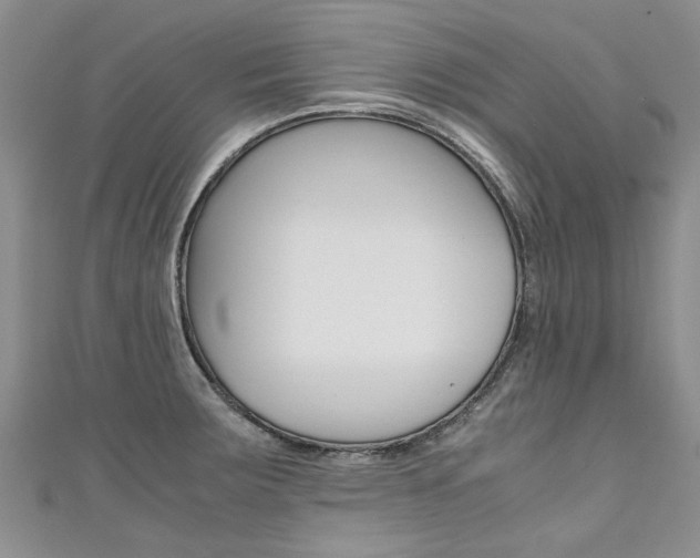 X0000111431283200907131033