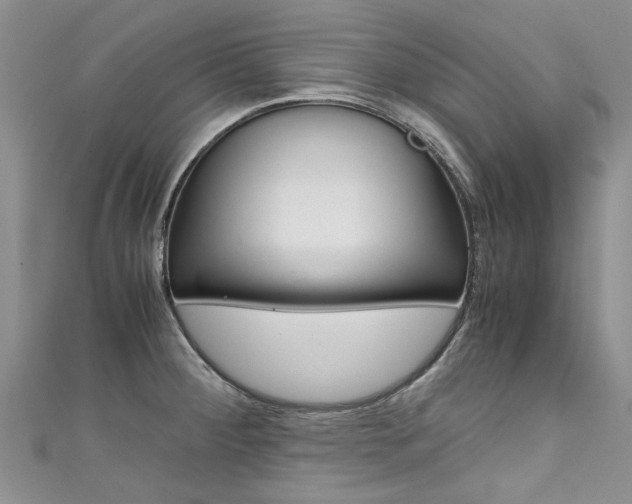 X0000111431284200907131033